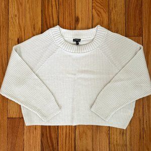 Express Cropped Sweater